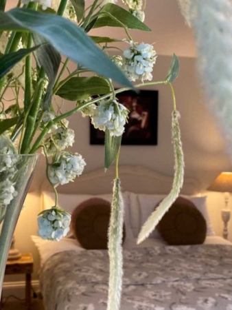 Flowers and bed at No. 22 luxury B&B in Barnstaple